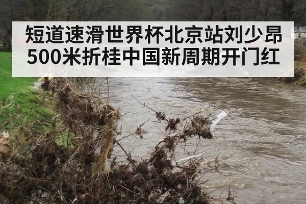 短道速滑世界杯北京站刘少昂500米折桂中国新周期开门红