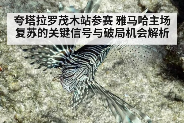 夸塔拉罗茂木站参赛 雅马哈主场复苏的关键信号与破局机会解析